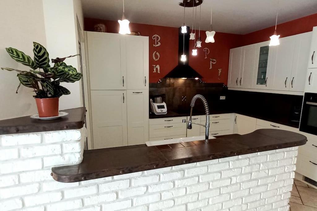 Villa 140 M² Hab. Avec Piscine Castres  Exteriér fotografie